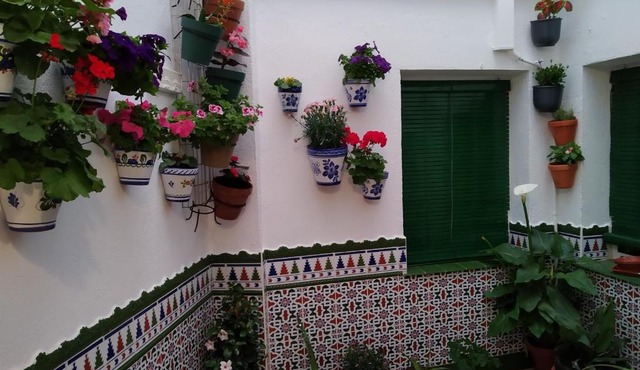 Alicante-Rental Alojamientos Turisticos CULTURAS Y COLORES EN ALMAGRO -Parking -Promocion EMPRESAS-