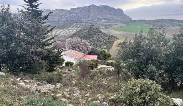 Andalucían Serenity at El Torcál
