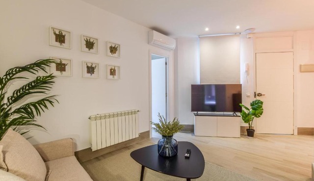 Apartamento Embajadores VIII