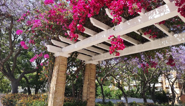 Apartamento Palmeras y Adelfas, Golf y Playas cercanas Costa de la Luz y Algarve