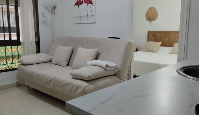 Apartment 3/4 persons at 40 meters from the beach, air conditioning/heating, free wifi
