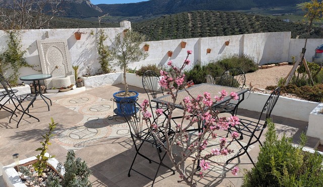 Beautiful studios with mountain views