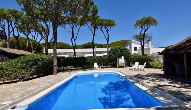 Big Villa with huge garden of pinetrees and a pool, nearby the beach