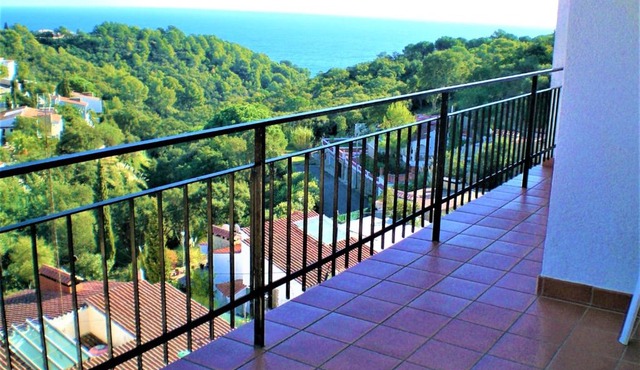 C12 in Tossa de Mar