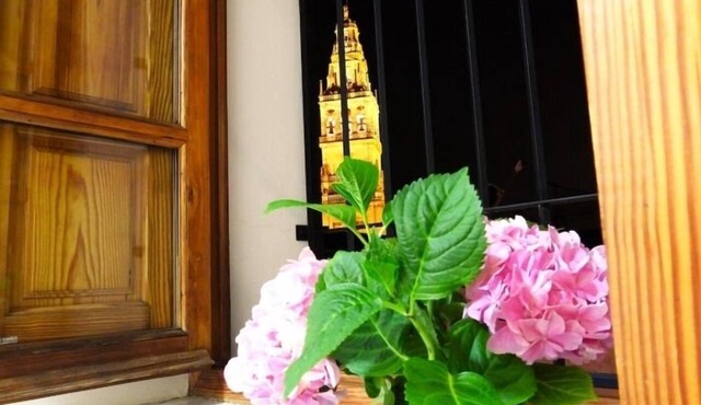 Calleja de la Mezquita · 1 Bedroom · 1 Bathroom