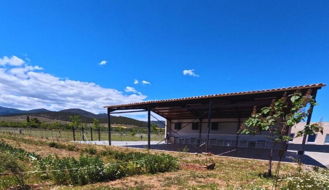 Camping & Área de Autocaravanas Las Viñas