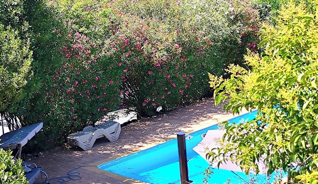 Campo cerca de Madrid – Kids & pets welcome