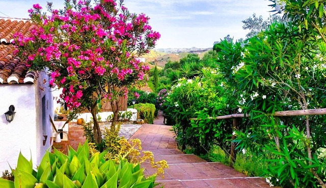 Casa 1/andalusian architecture in a beautiful green oasis 1 km from El Borge