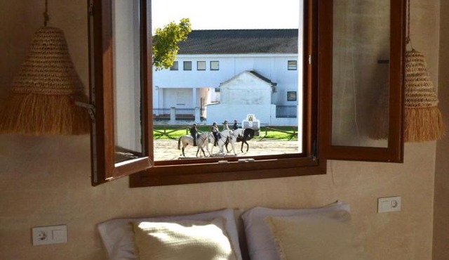 Casa con Terraza, Wi-fi y Aire acondicionado en El Rocío, Lincea Home