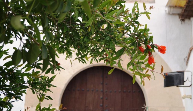 Casa de la Placeta del Rincón
