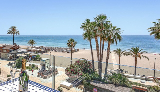 Casa La Viu estepona