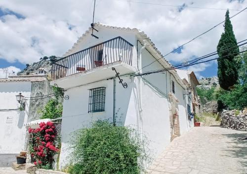 Casa Lola