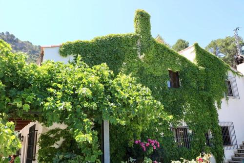 Casas Rurales Cortijo El Marqués