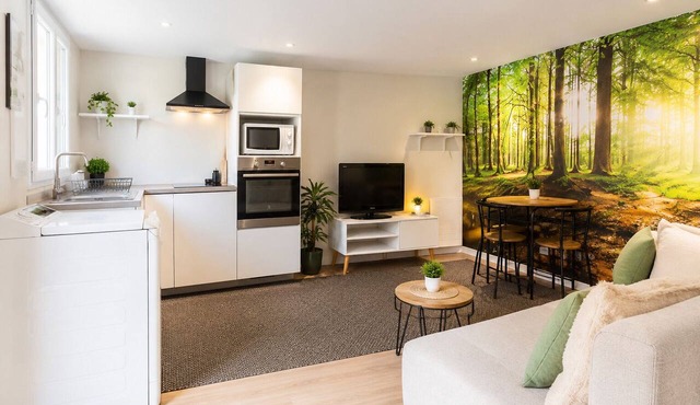 Charming 1-bedroom apartment near Geneva, between the lake and the mountains in Bons-en-Chablais