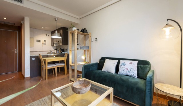 Charming 1 bedroom flat Gym Gated urbanisation Madrid