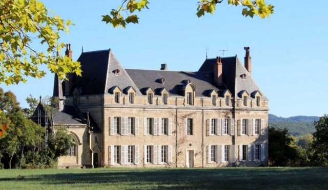 Charming renovated castle – 9 bedrooms, sleeps 21, 17-hectare grounds – Tarn in Teyssode