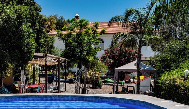 Come and explore the real Andalusia from our vacationhouses in the mountains