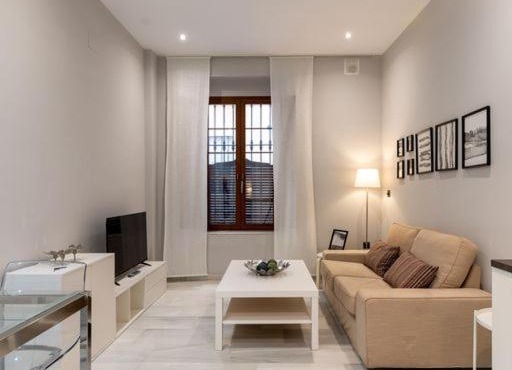 Coqueto apartamento para descubrir Sevilla