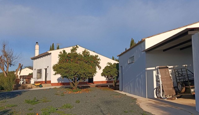 CR LOS OLIVOS