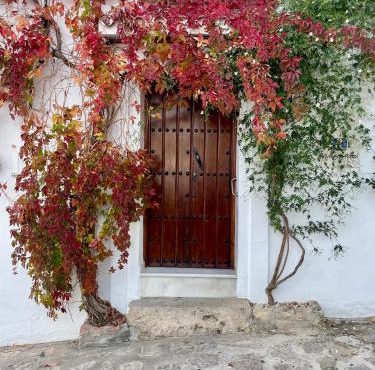 CUEVAS del PEÑÓN