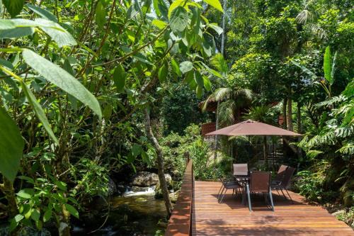 CurtaTere fireplace pool pet friendly garden in Teresópolis