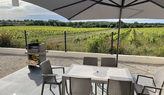 Detached house on the edge of the vineyards in Restinclières
