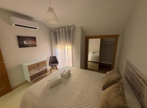 Duplex entre molinos Consuegra