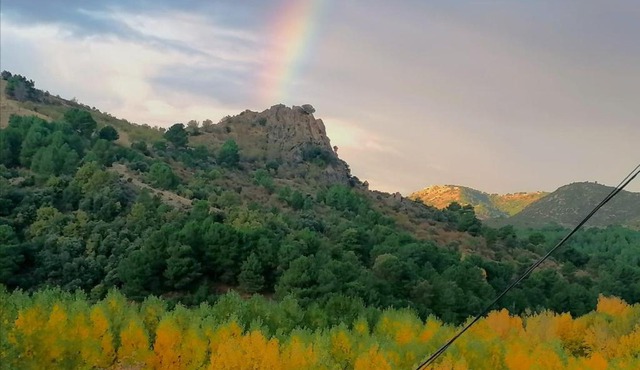 El Pedregal Del Tocón