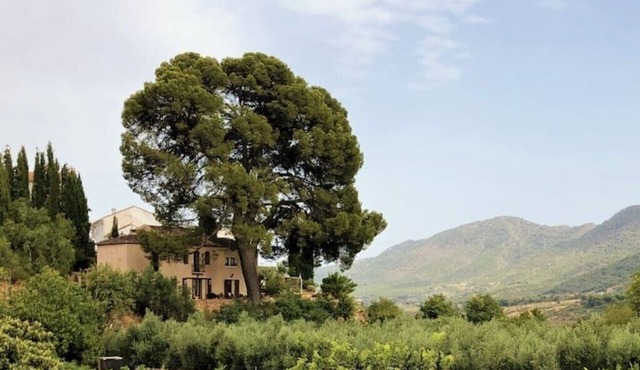 El Pino Retreat Apartment