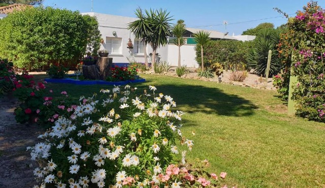 En Resort Fincas Las Dunas dos Chalets con jacuzzis en primera linea de playa , uno de 4 dormitorios y otro de 2 dormitorios, Llama al Seiscientos veintisiete Cuatrocientos diecisiete Trescientos noventa y ocho