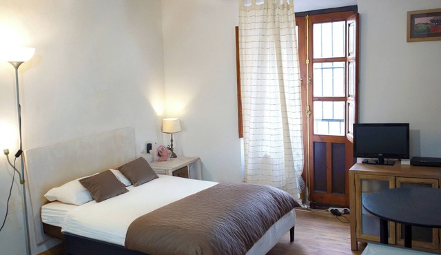 Full Apartment Downtown - Arco de Elvira