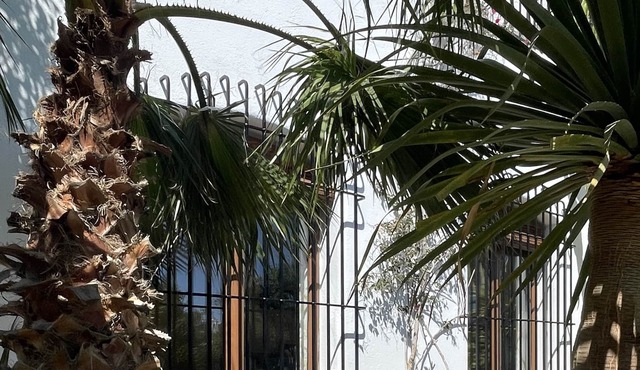 Garden ground floor studio in La Washingtonia