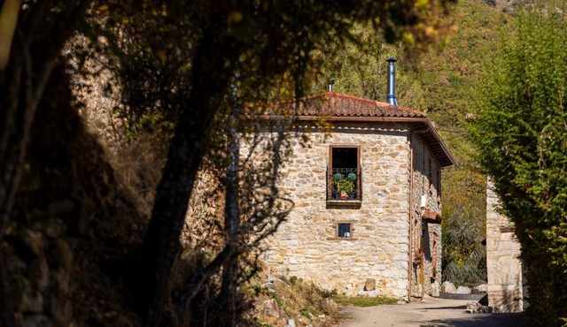 Genciana, el encanto en La Montaña Leonesa