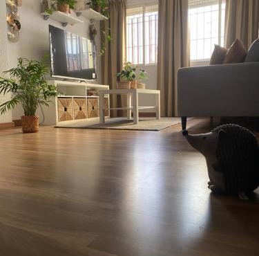 habitación o dormitorio acogedor, buena conexion