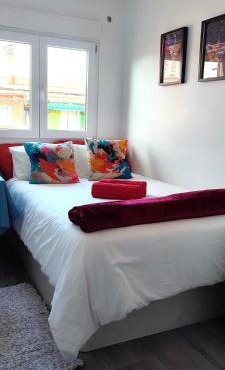 Habitación paloma