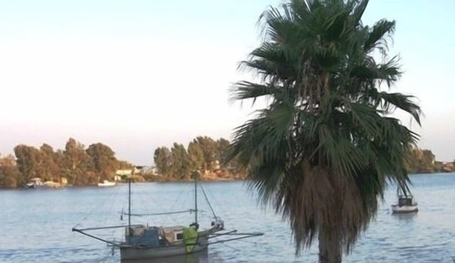 Holidays in Seville (Andalusia)