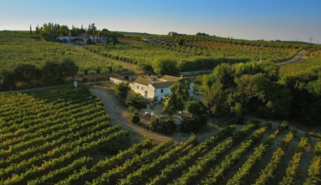 Homerez - Villa in Montilla
