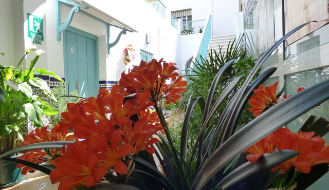 Hostal Campo Nuevo