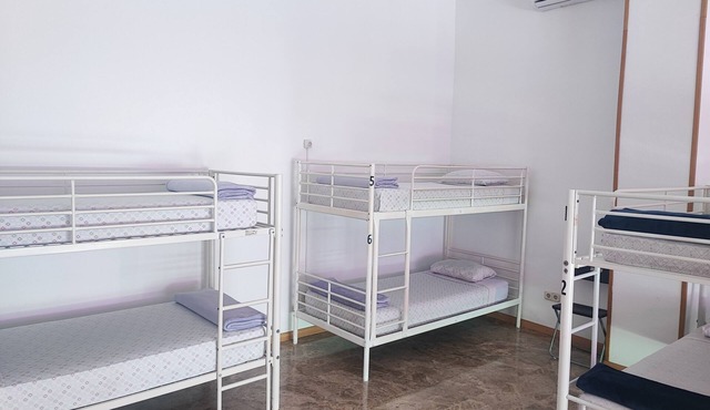 Hostel M Torres