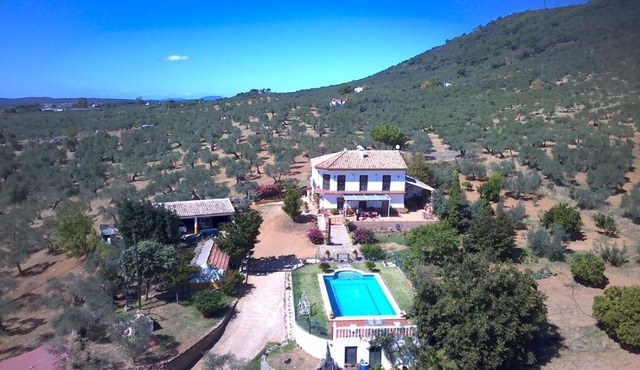 Huerta Carrión, Finca en El Pedroso