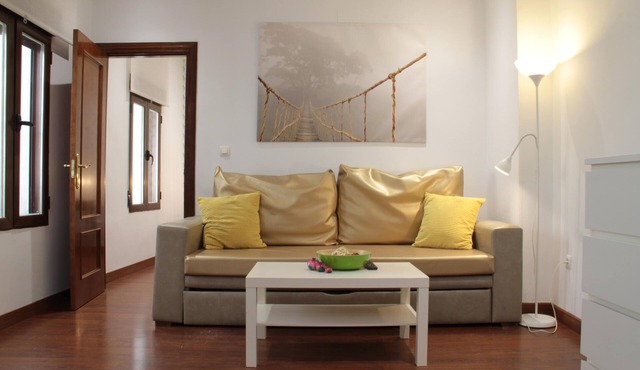 INSIDE APARTMENT PASEO DE LOS TRISTES GROUND FLOOR