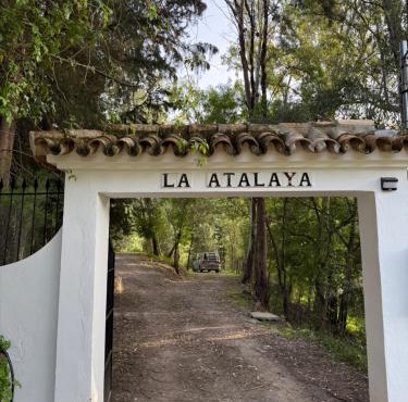 La Atalaya Forest