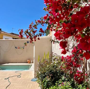 La Casa De Los Gatetes