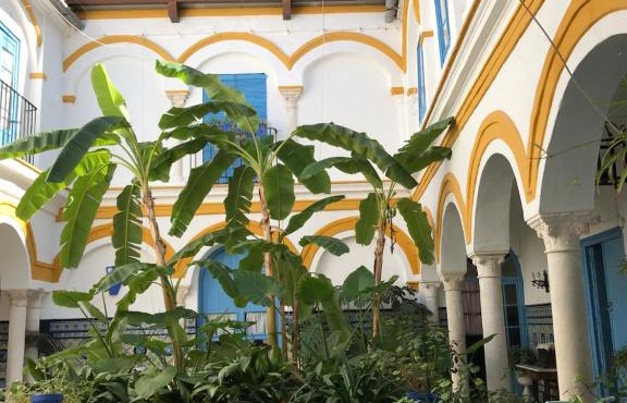 La Casa en el Centro