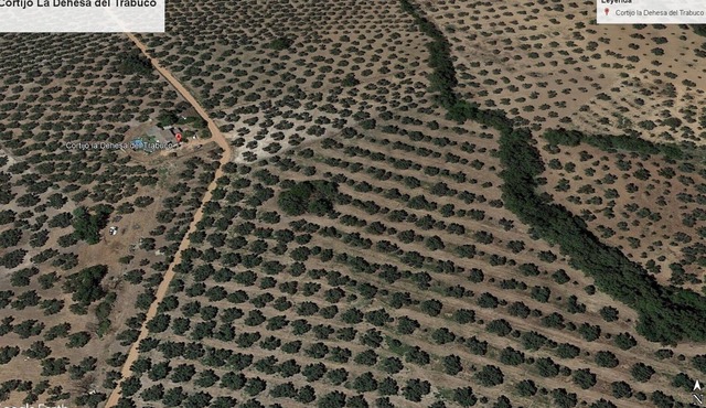 La Dehesa del Trabuco Farmhouse