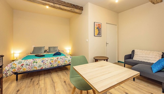 Le Figuier - Charming Studio in Lavaur