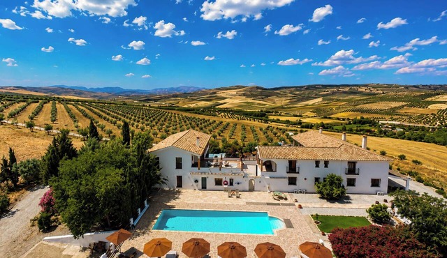 Lemon Tree Retreat at El Amparo