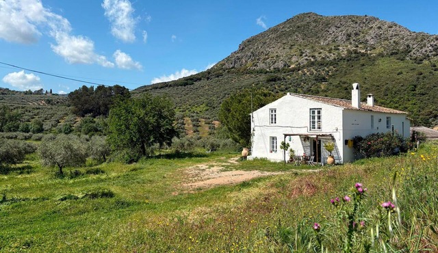 Lovely home in Priego de cordoba