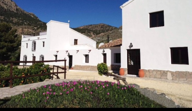 Lovely independent self catering cortijo