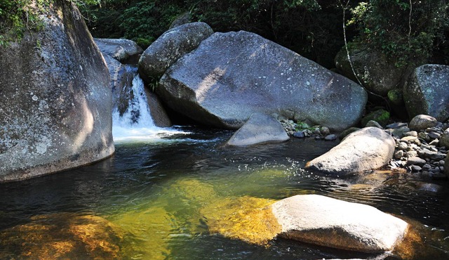 Lovely little house in the woods, birds, trails and waterfall in the backyard. in Paraty